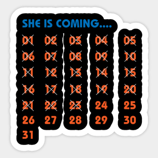 She is pregnant Sticker